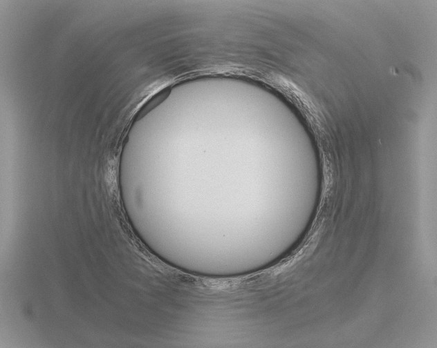 X0000116641361200912140936