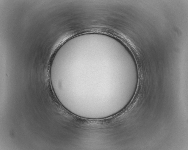 X0000116641362200912140936