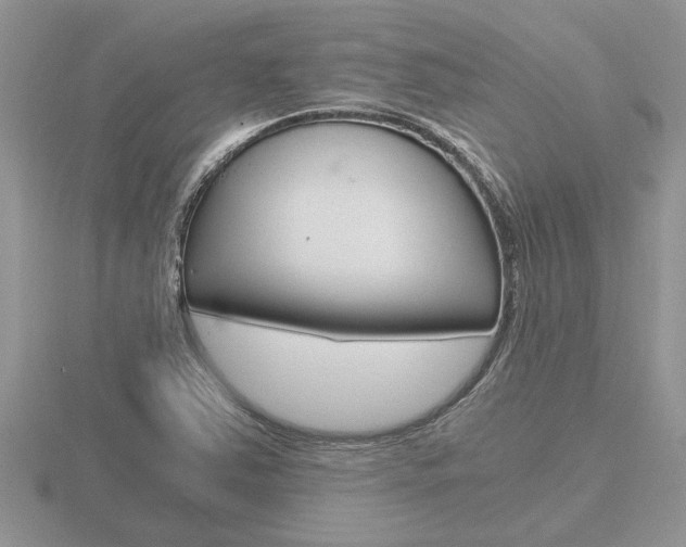 X0000116641363200912140936