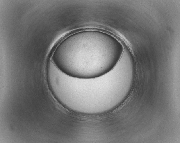 X0000116641368200912140936