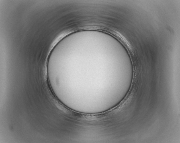 X0000116641370200912140936