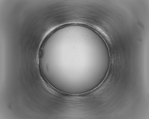 X0000116641372200912140936