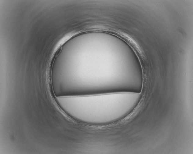 X0000116641373200912140936