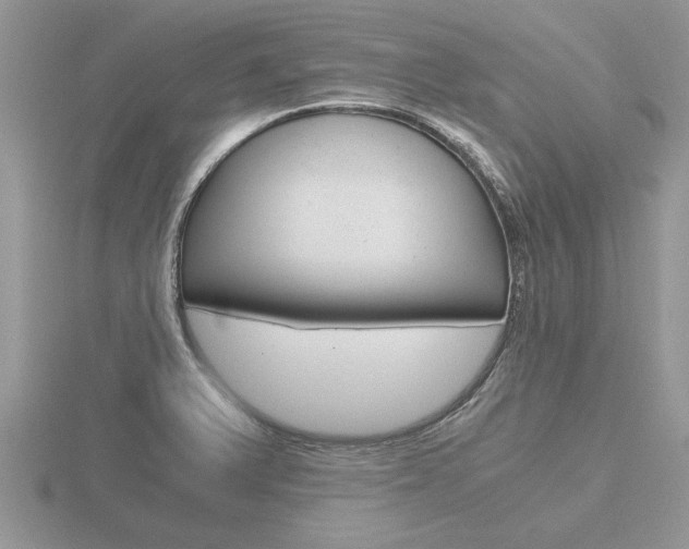 X0000116641375200912140936