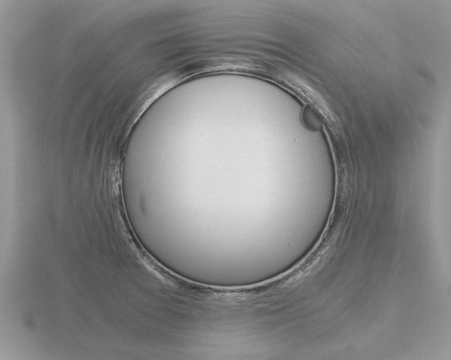 X0000116641377200912140936