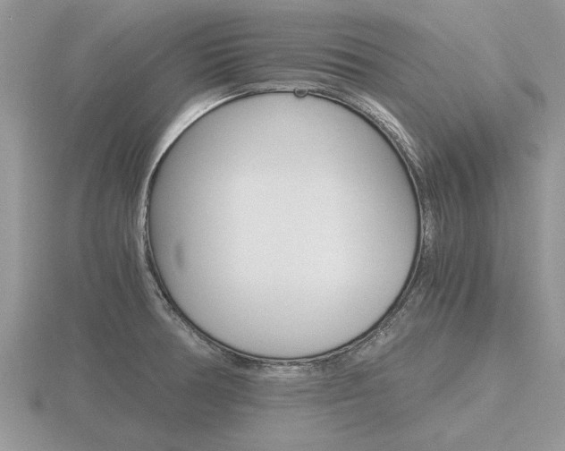 X0000116641378200912140936