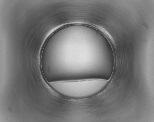 X0000116641380200912140936