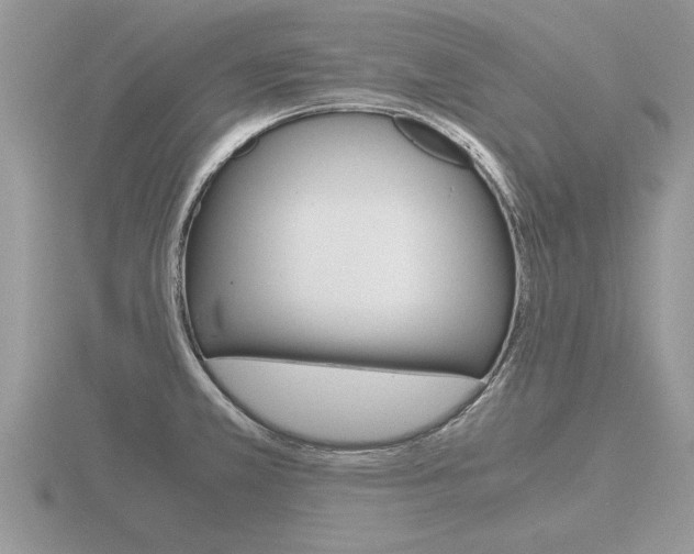 X0000116641381200912140936