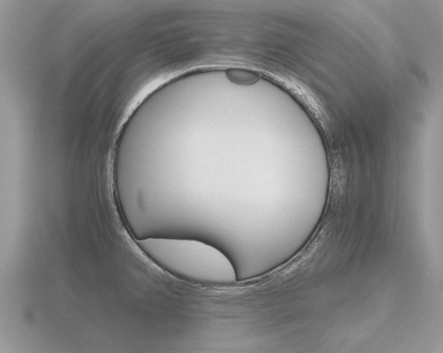 X0000116641382200912140936