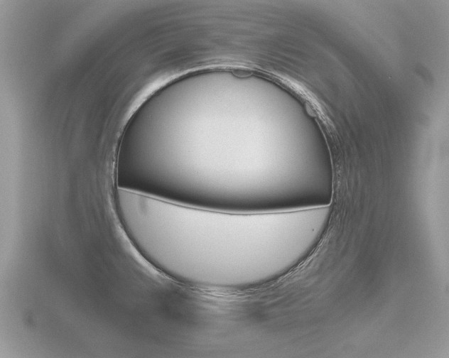 X0000116641383200912140936