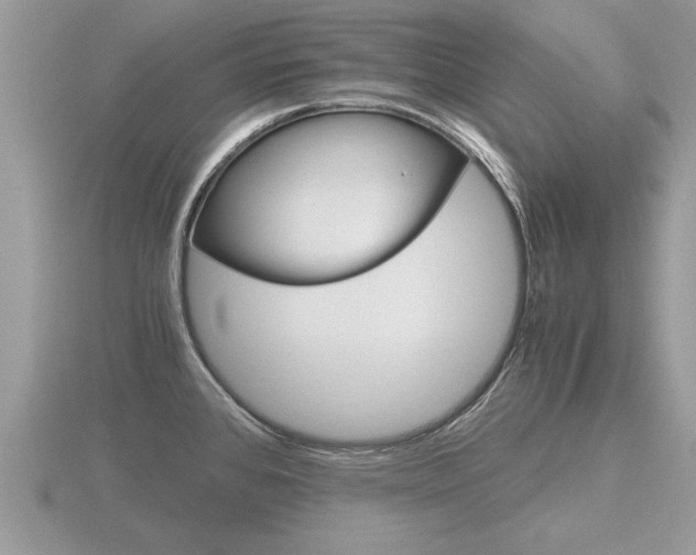 X0000116641384200912140936