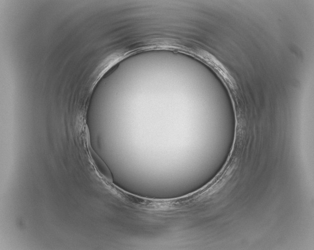 X0000116641385200912140936