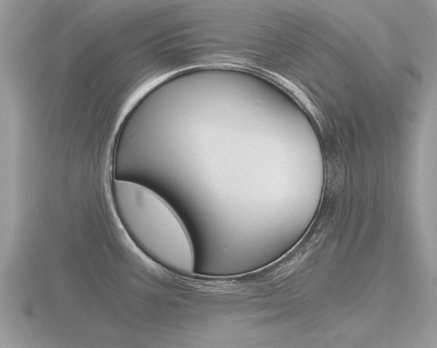 X0000116641387200912140936