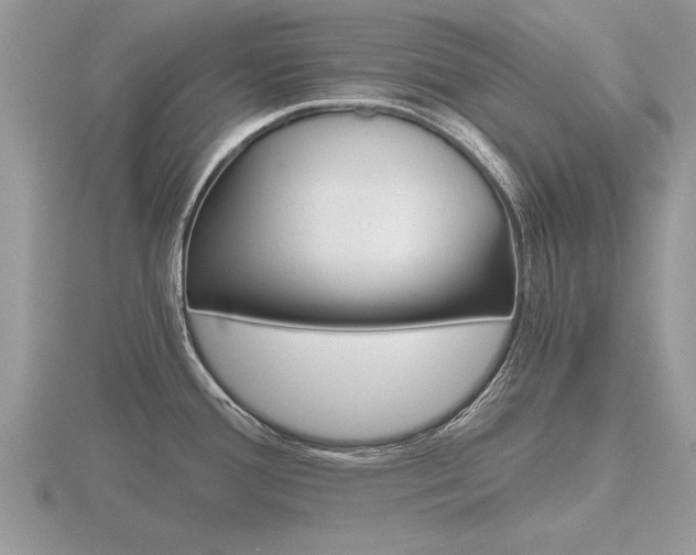 X0000116641388200912140936