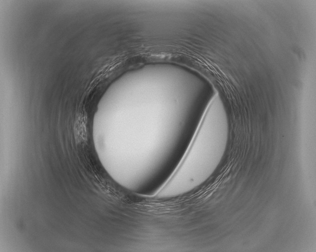 X0000116641394200912140935