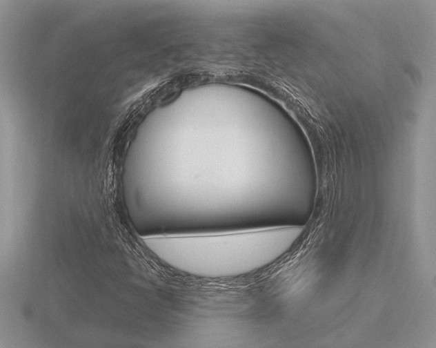 X0000116641398200912140935