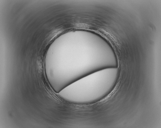 X0000116641401200912140935