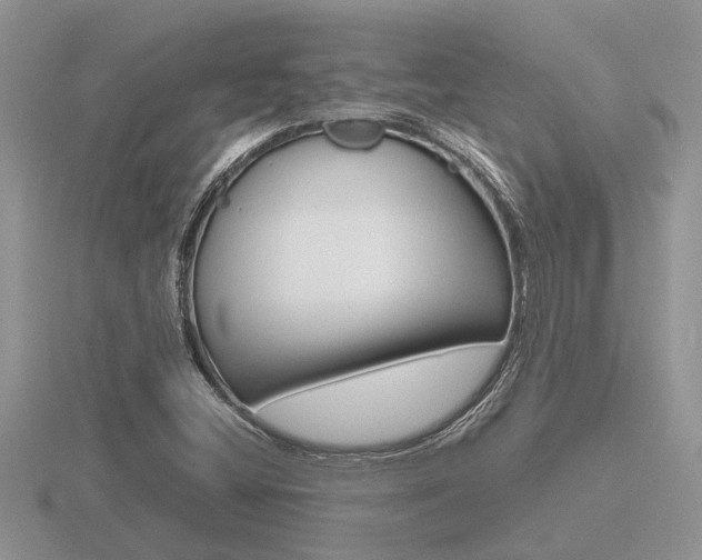 X0000116641404200912140935