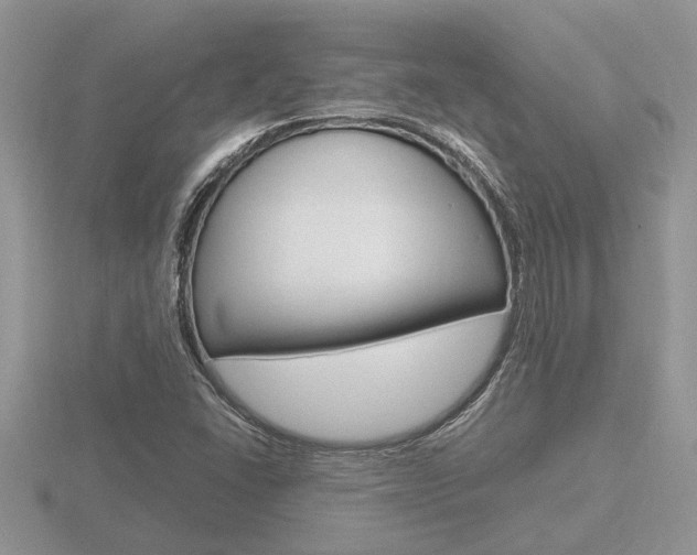 X0000116641406200912140935