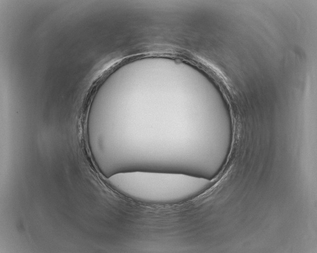 X0000116641407200912140935