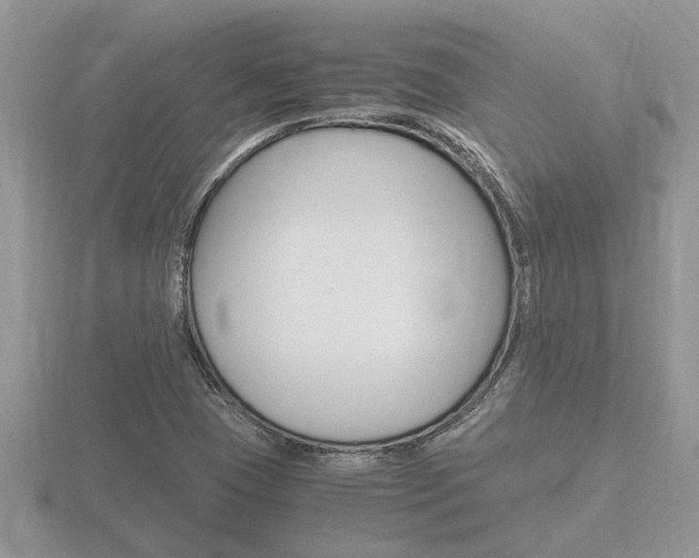 X0000116641409200912140935