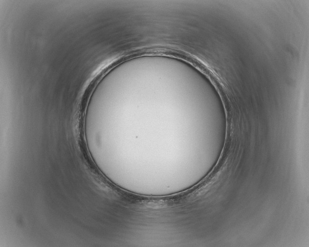 X0000116641410200912140935