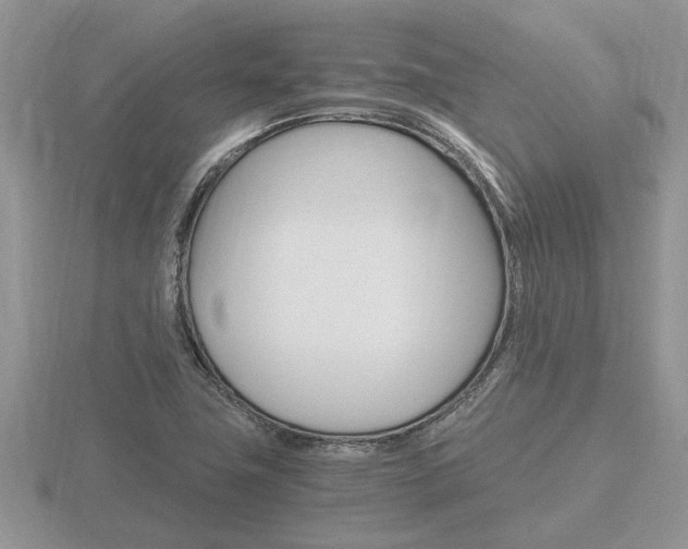 X0000116641411200912140935