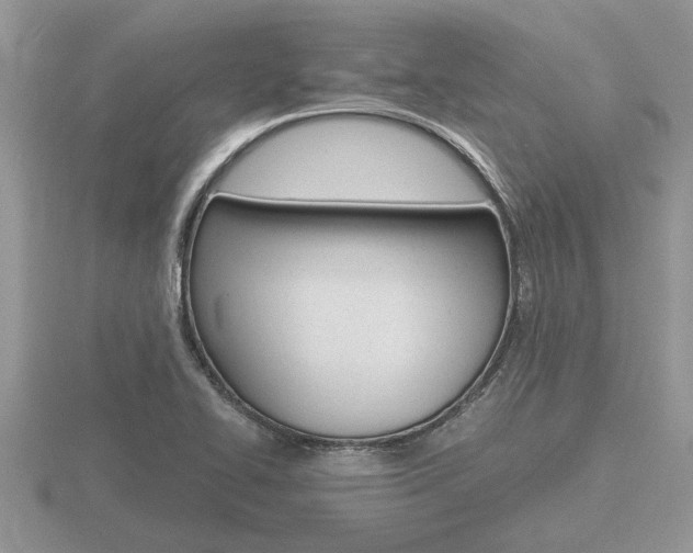 X0000116641414200912140935