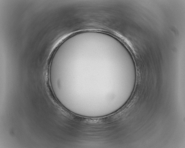 X0000116641415200912140935