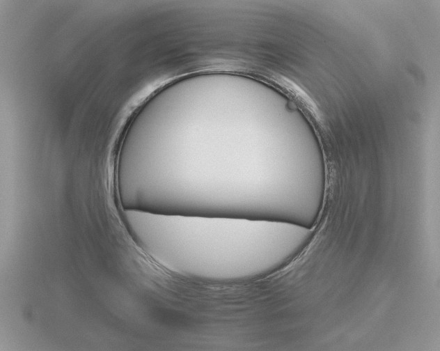 X0000116641419200912140935