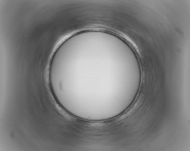 X0000116641421200912140935