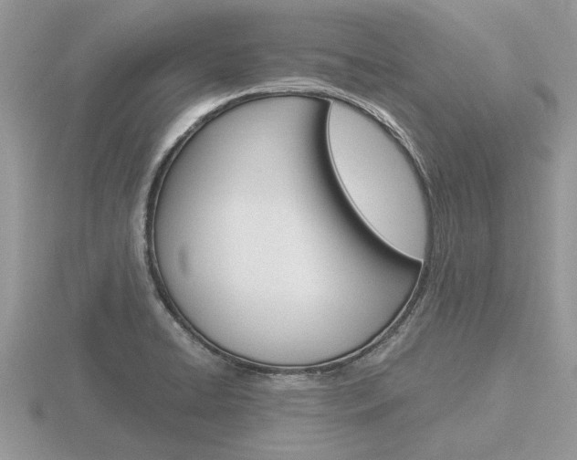 X0000116641422200912140935