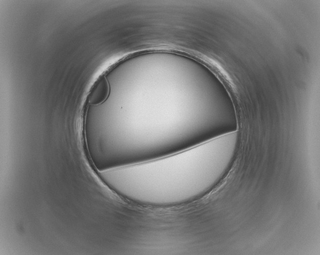 X0000116641424200912140935