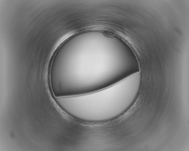X0000116641426200912140935