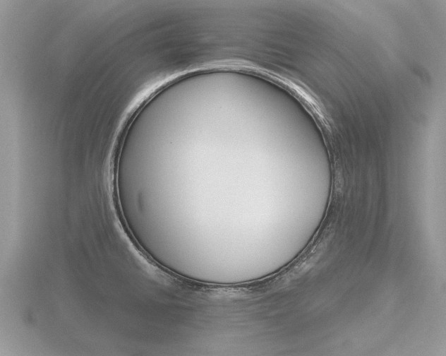 X0000116641430200912140936