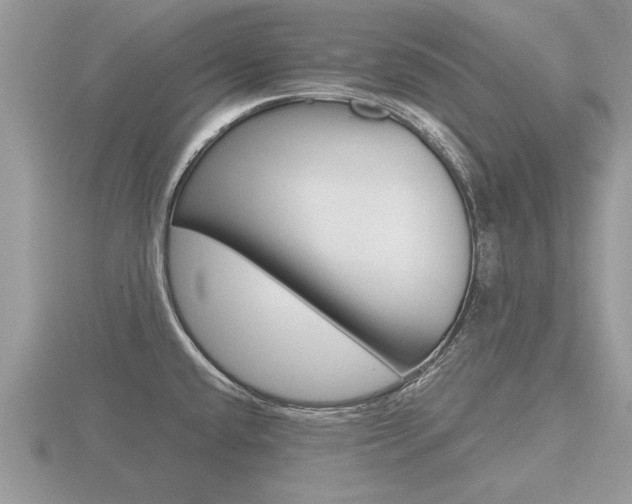 X0000116641432200912140936