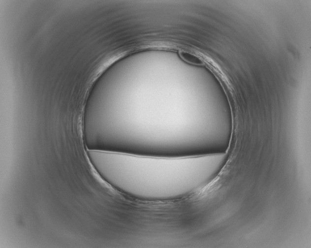 X0000116641433200912140936