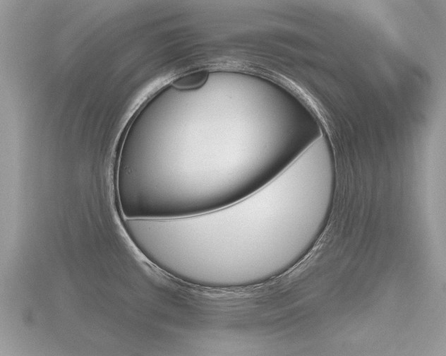 X0000116641434200912140936