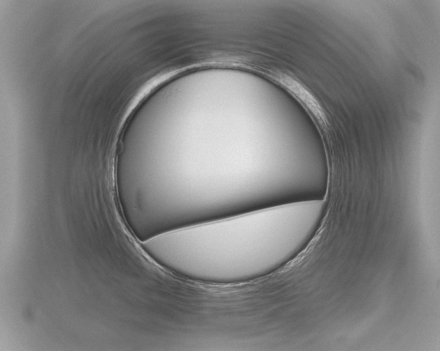 X0000116641436200912140936