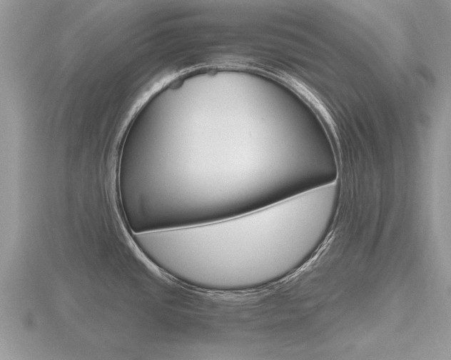 X0000116641437200912140936