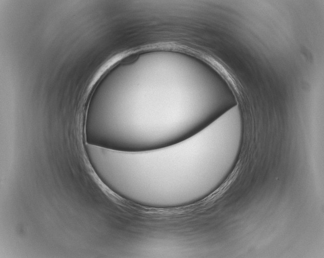 X0000116641438200912140936