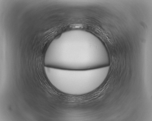 X0000116641442200912140935