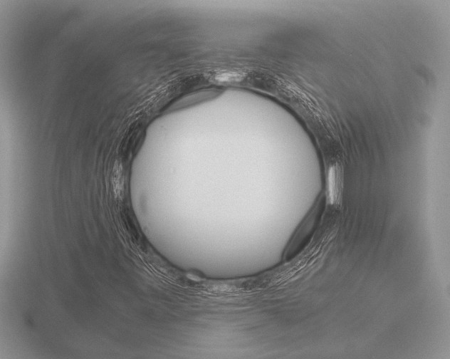 X0000116641443200912140935