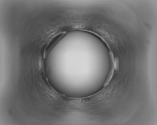 X0000116641444200912140935