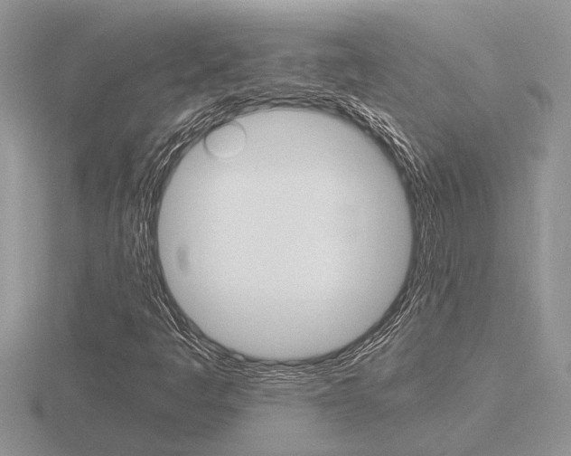 X0000116641445200912140935