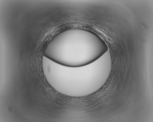 X0000116641447200912140935