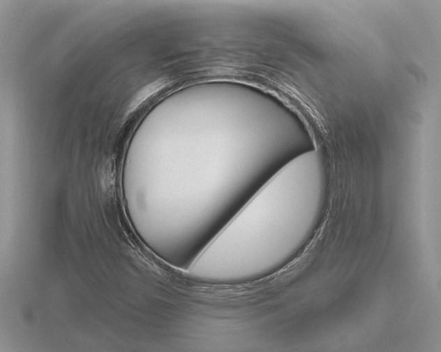 X0000116641450200912140935