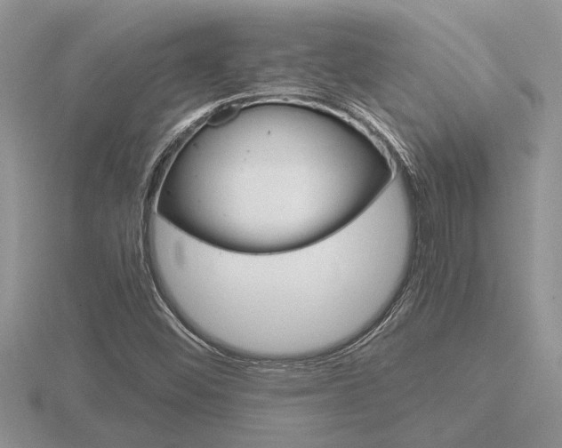 X0000116641452200912140935