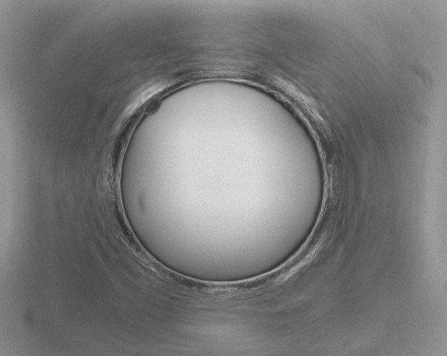 X0000116641453200912140935