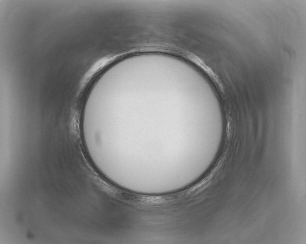 X0000116641454200912140935